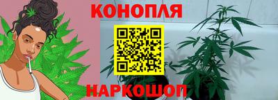 прущие крисы Тверь