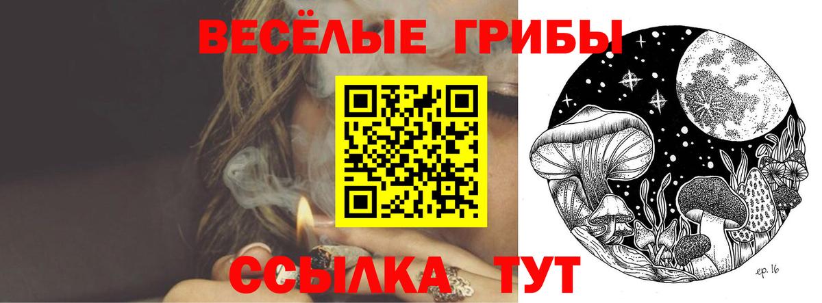 Ачхой-Мартан  купить наркотики сайты  Вход с VPN  Галлюциногенные грибы ЛСД 