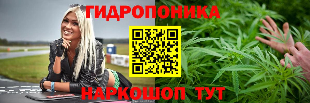 Ачхой-Мартан  Каннабис гибрид  Вход с VPN  Марихуана тримм  Шишки марихуана Amnesia 